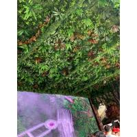 uploads/erp/collection/images/Home Garden/dgjiawang/XU0612847/img_b/XU0612847_img_b_2